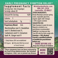 Morning Sickness Nausea Relief