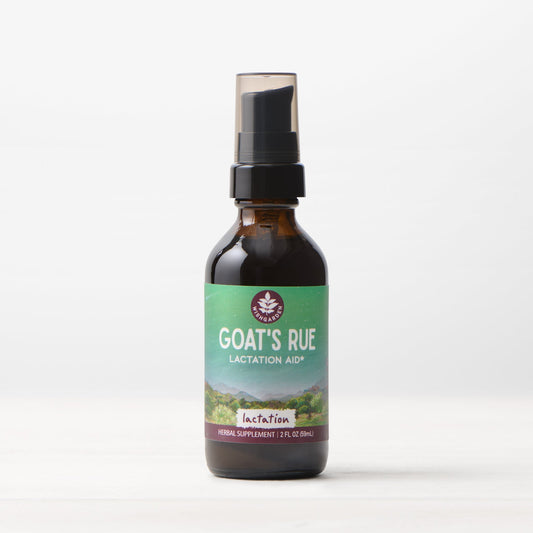 Goat's Rue Lactation Aid