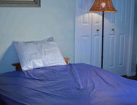 Gary Heavy Duty Plastic Mattress Cover Protector, King