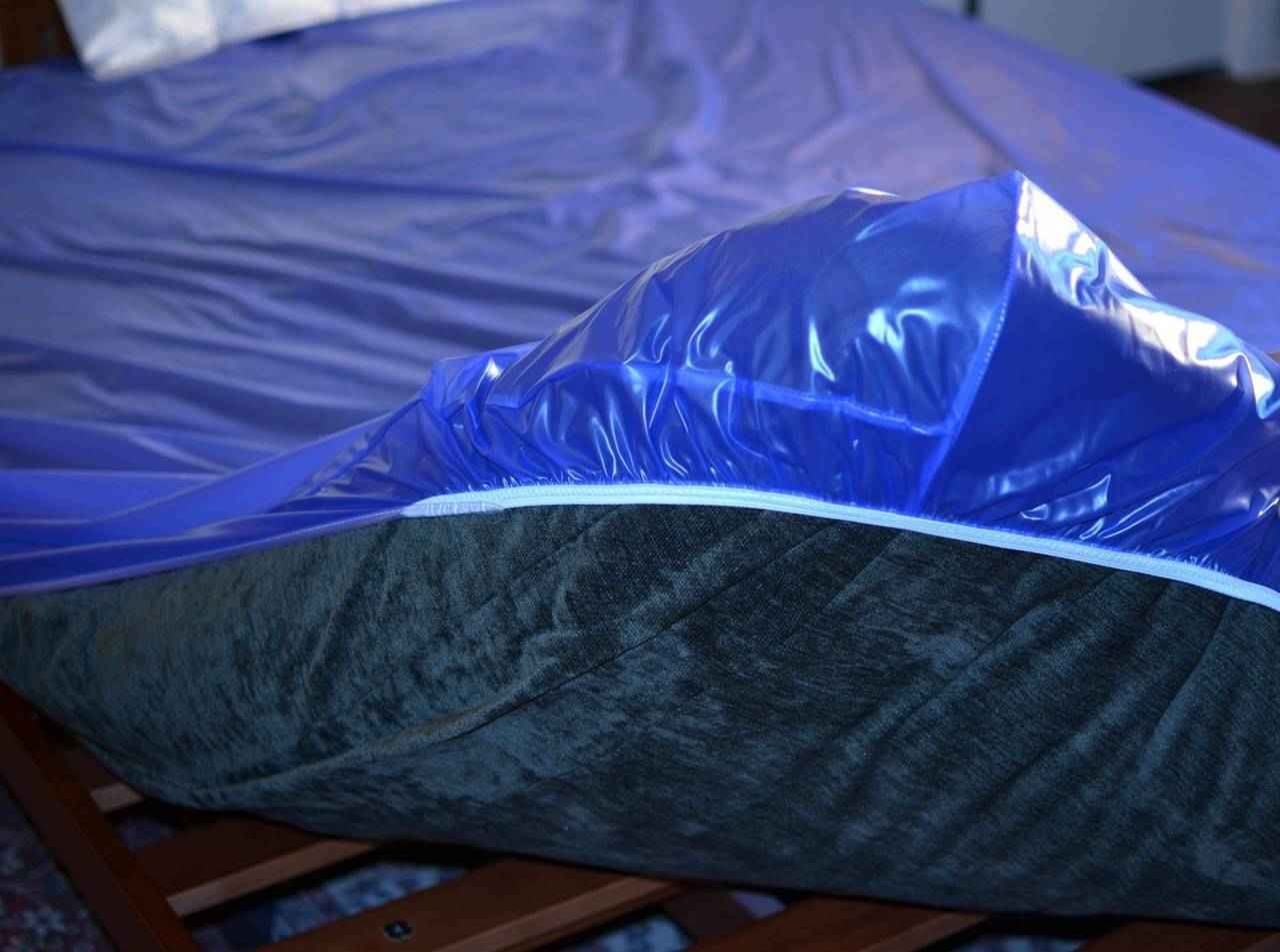 Gary Heavy Duty Plastic Mattress Cover Protector, California King